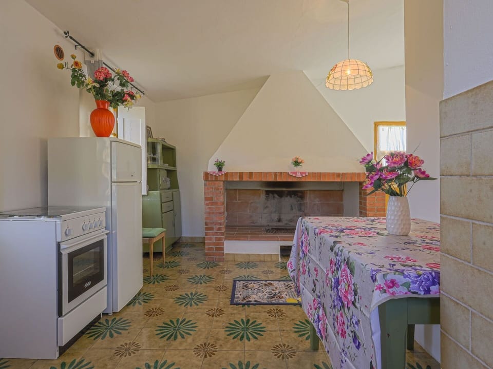 Flower, Property, Furniture, Table, Plant, Cabinetry, Houseplant, Interior Design, Orange, Building
