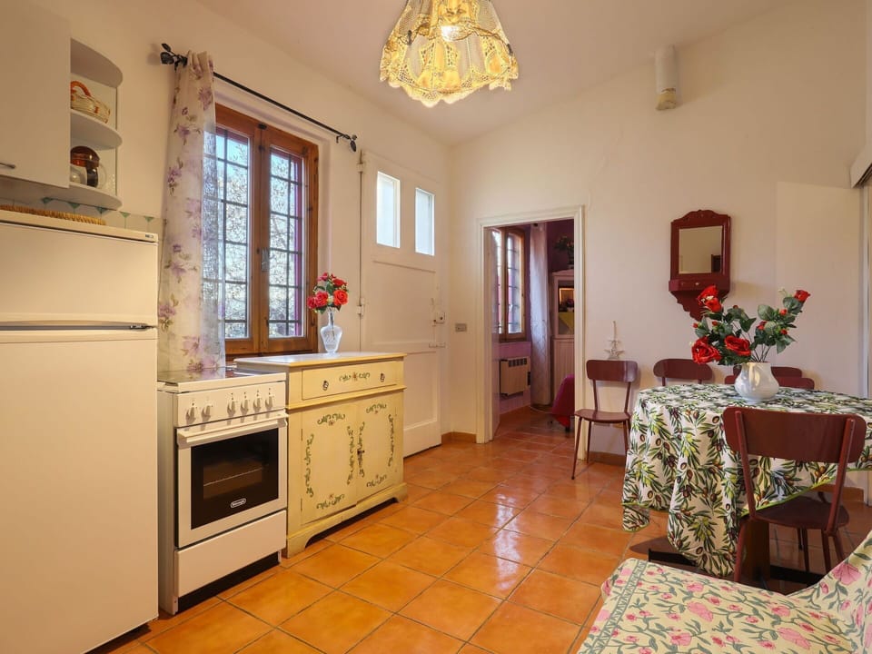 Cabinetry, Property, Furniture, Countertop, Plant, Window, Drawer, Houseplant, Wood, Lighting