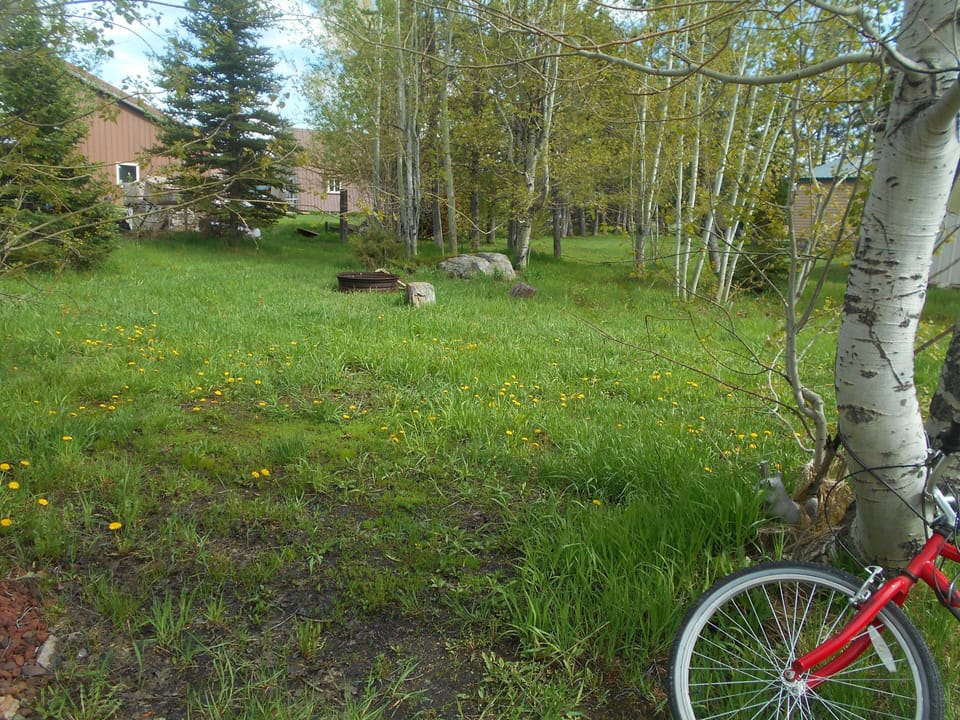 Backyard with firepit