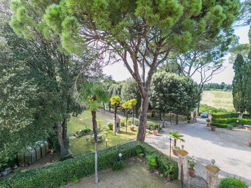 Plant, Property, Plant Community, Tree, Land Lot, Vegetation, Sky, Natural Landscape, Shrub, Public Space