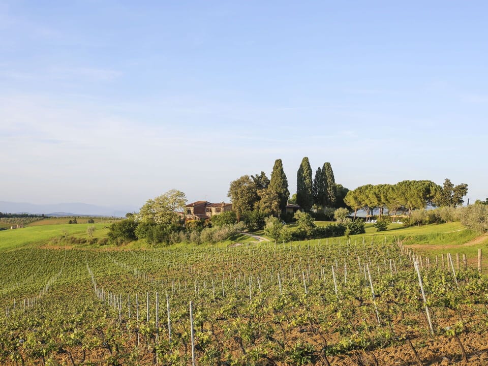 Sky, Plant, Plant Community, Cloud, Natural Landscape, Tree, Land Lot, Agriculture, Landscape