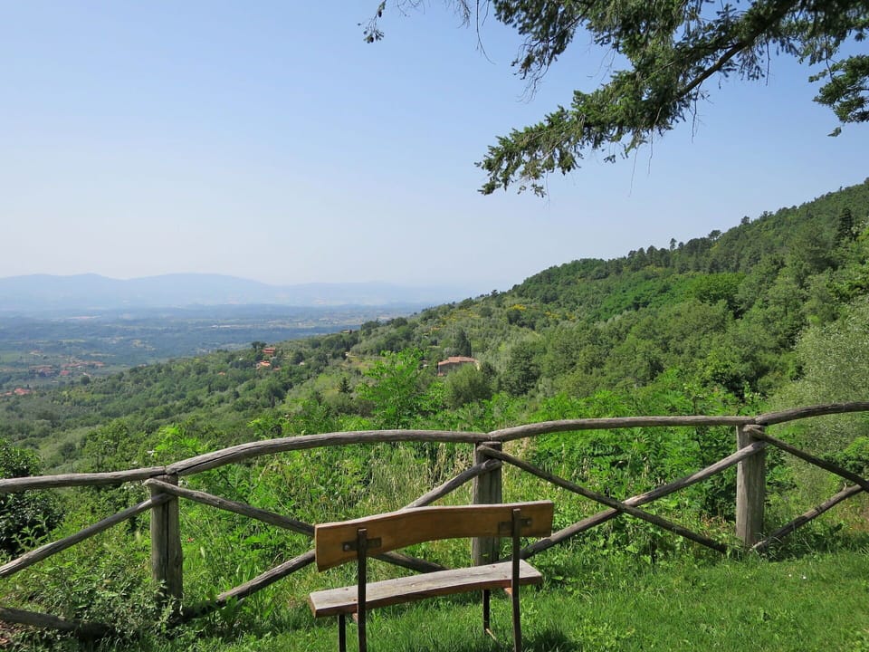 Sky, Plant, Plant Community, Ecoregion, Natural Landscape, Leaf, Mountain, Natural Environment, Vegetation, Land Lot