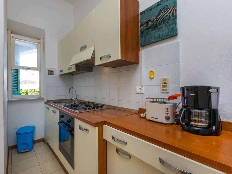 Cabinetry, Countertop, Property, Kitchen Sink, Sink, Kitchen Appliance, Kitchen Stove, Window, Kitchen, Home Appliance