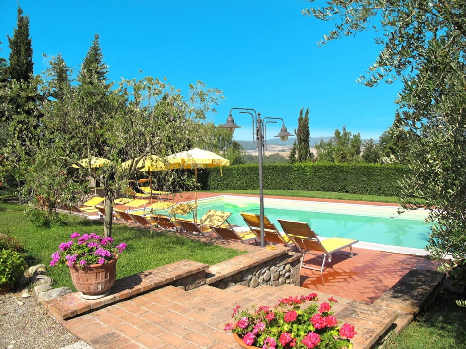 Flower, Plant, Water, Sky, Swimming Pool, Flowerpot, Botany, Natural Landscape, Outdoor Furniture, Shade