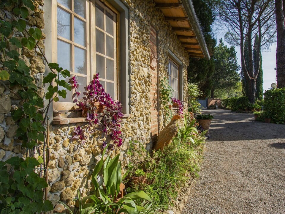 Flower, Plant, Building, Window, House, Tree, Wood, Residential Area, Neighbourhood, Cottage