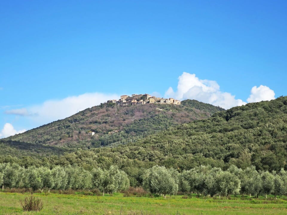 Sky, Cloud, Plant, Tree, Road Surface, Asphalt, Land Lot, House, Composite Material, Fence