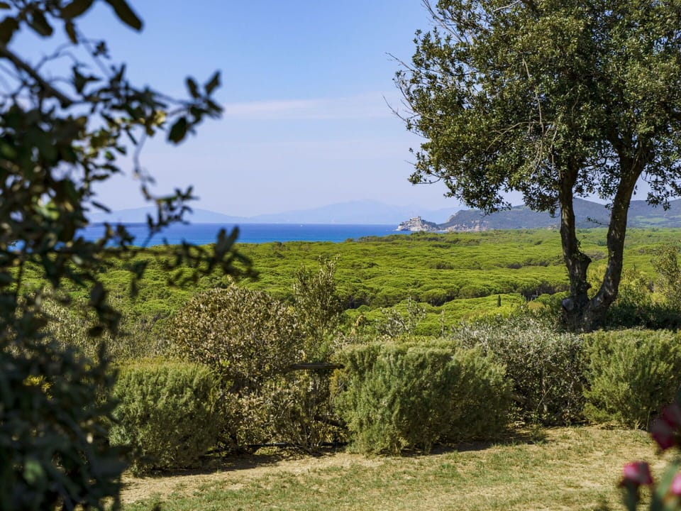 Sky, Plant, Plant Community, Cloud, Green, Natural Landscape, Tree, Land Lot, Grass, Grassland