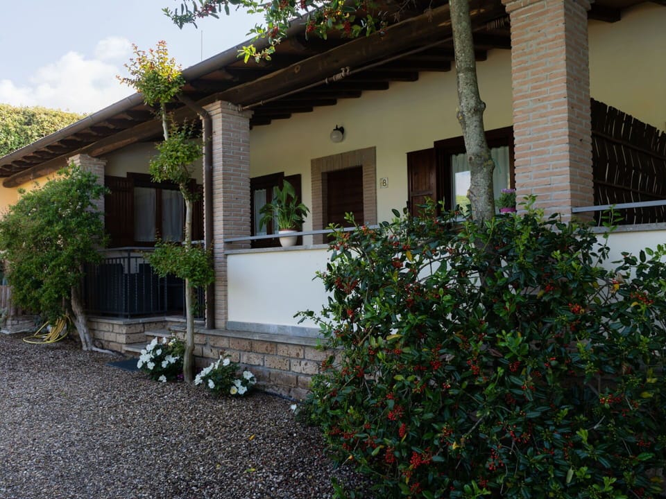 Plant, Building, Property, Window, Vegetation, Tree, Sky, Flower, Residential Area, Wall