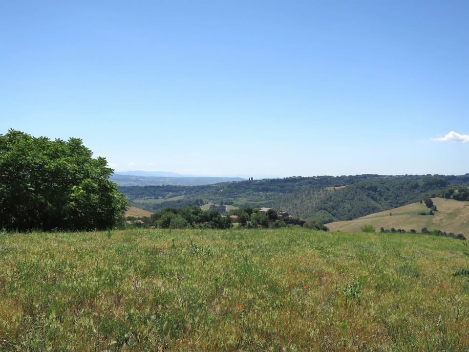 Natural Landscape, Grassland, Sky, Vegetation, Natural Environment, Mountainous Landforms, Land Lot, Hill, Pasture, Meadow
