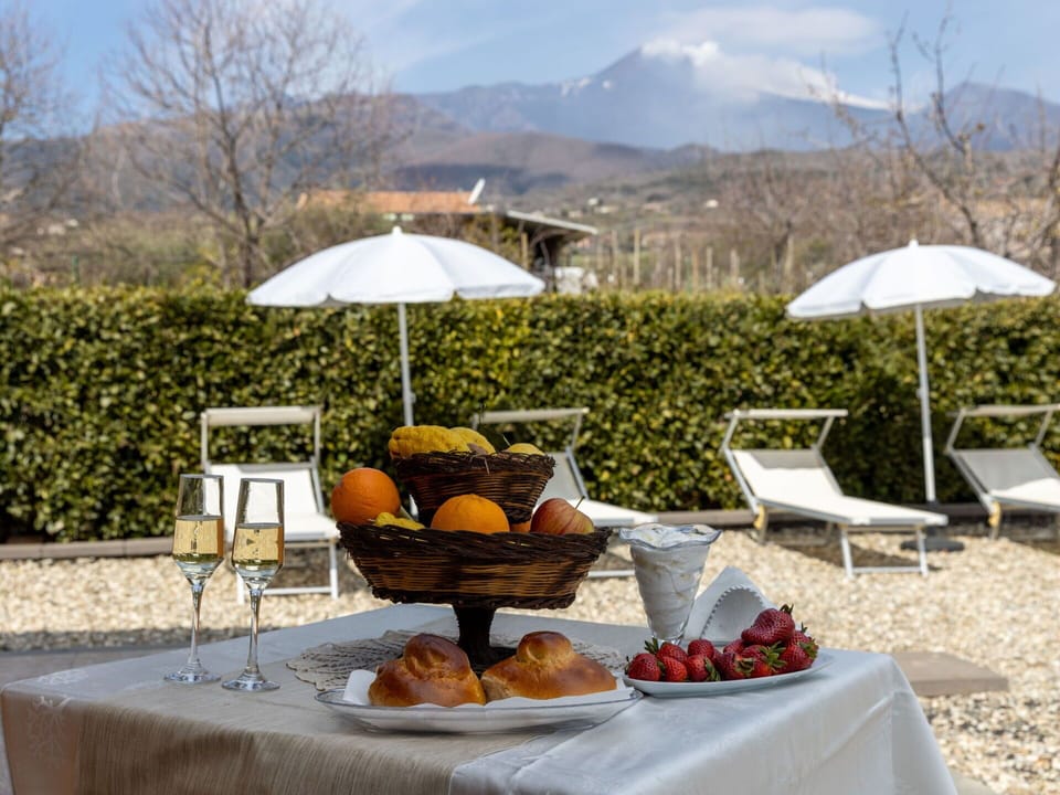 Table, Food, Furniture, Property, Plant, Tableware, Sky, Outdoor Table, Chair, Outdoor Furniture
