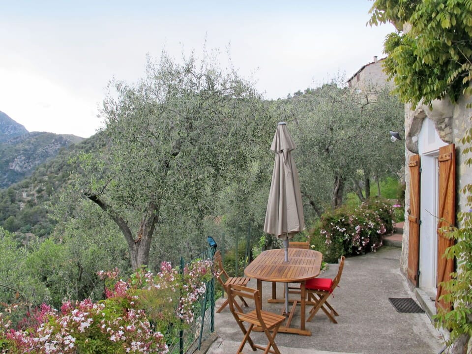 Property, Garden, Real Estate, Botany, Tree, House, Hill Station, Cottage, Building, Rural Area