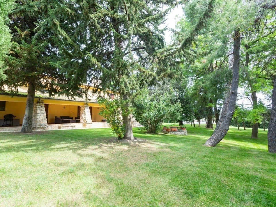 Plant, Building, Tree, Shade, Window, Land Lot, Grass, Leisure, Landscape, Tints And Shades