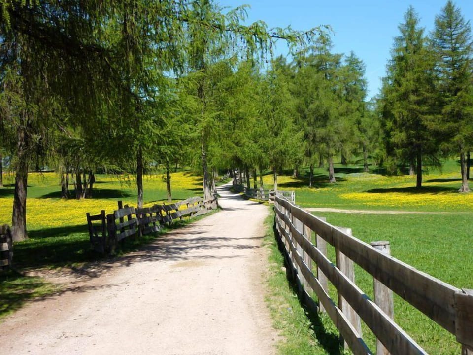 hiking trail nearby