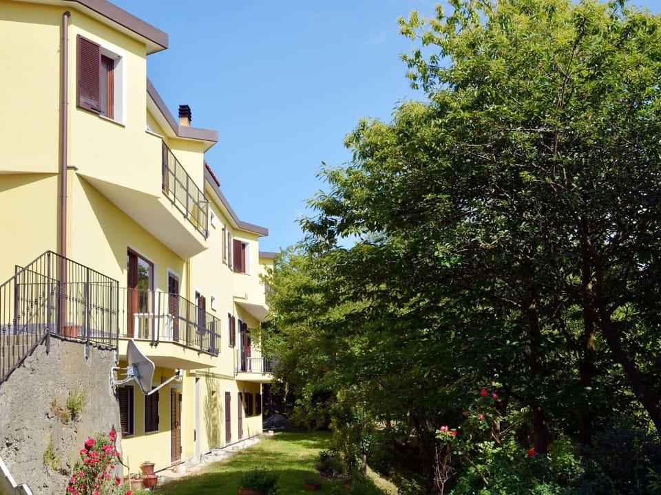 Plant, Building, Window, Sky, Tree, Biome, House, Urban Design, Facade, Grass