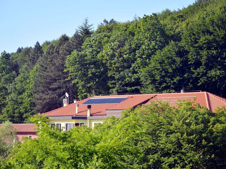 Sky, Plant, Plant Community, Window, Tree, Natural Landscape, House, Building, Land Lot, Slope