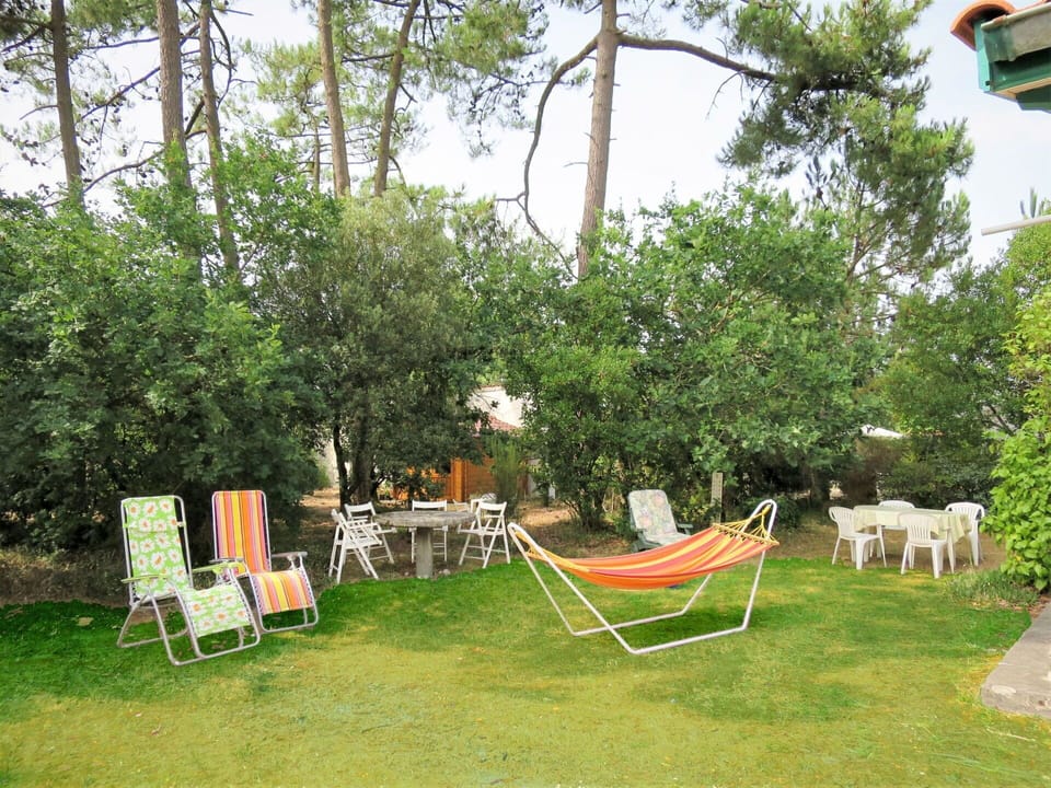 Plant, Property, Plant Community, Furniture, Shade, Tree, Land Lot, Outdoor Furniture, Sky, Chair