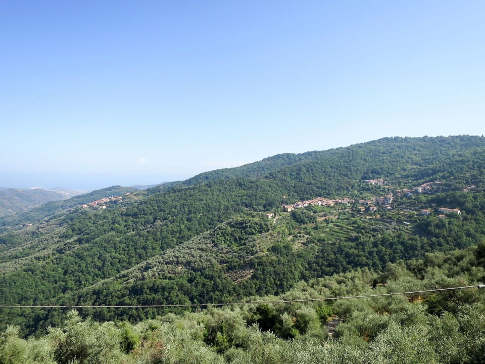 Water, Sky, Cloud, Water Resources, Azure, Tree, Natural Landscape, Beach, Coastal And Oceanic Landforms, Plant