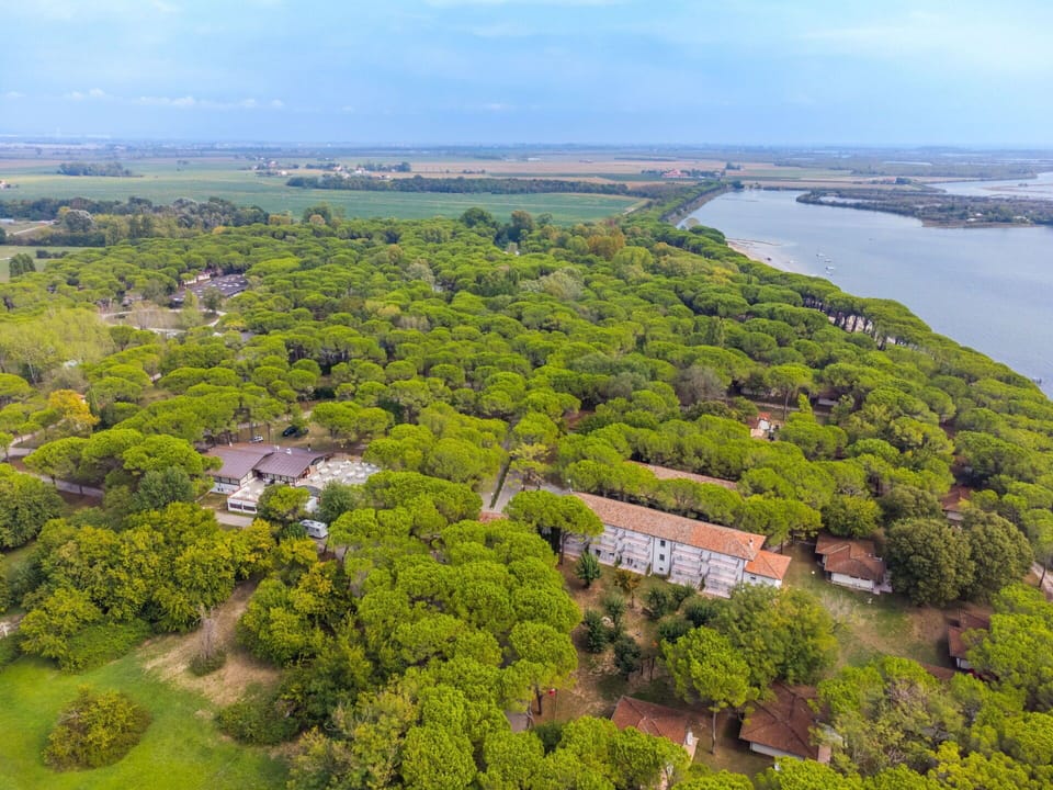 Wood, Lighting, Interior Design, Flooring, Floor, Living Room, Real Estate, Hardwood, Table, Beam