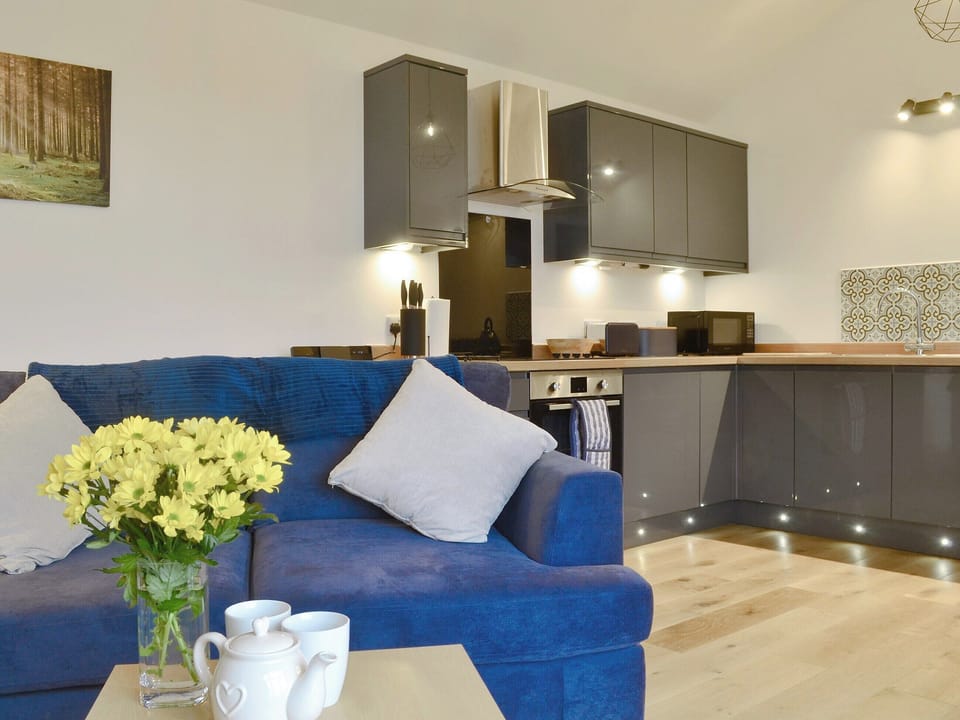 Well presented open plan living space | Fig Tree Cottage, Pancrasweek, near Bude