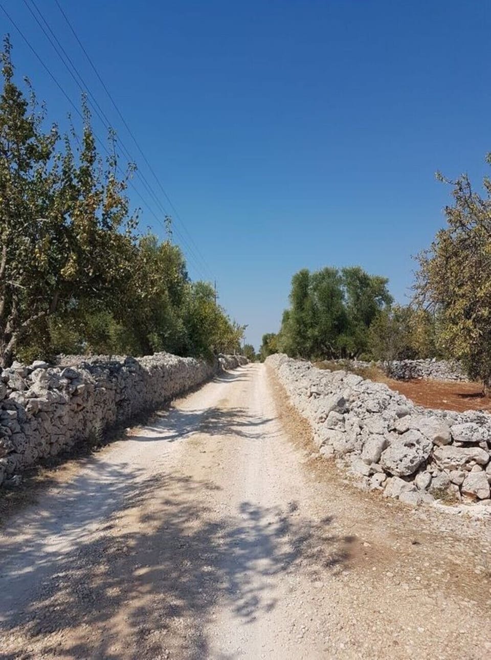 Entrance to property