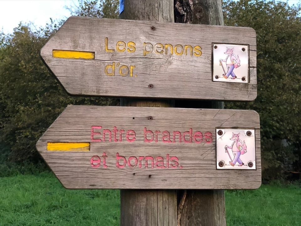 Follow the fox signs on the 'golden trails'.