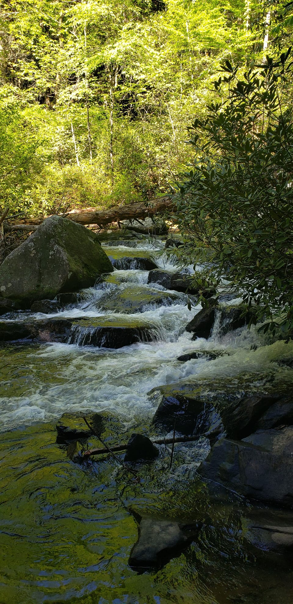 Several local hiking trails, waterfalls