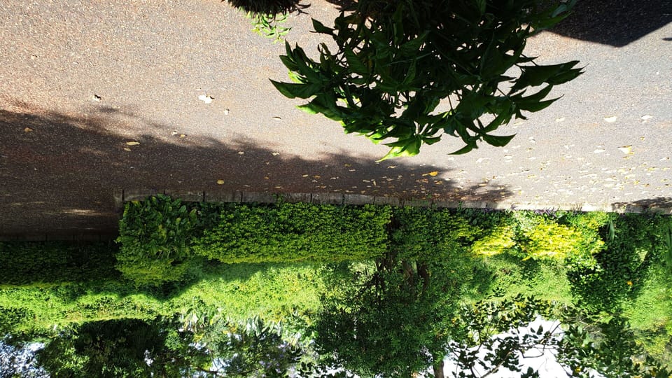 Image 17