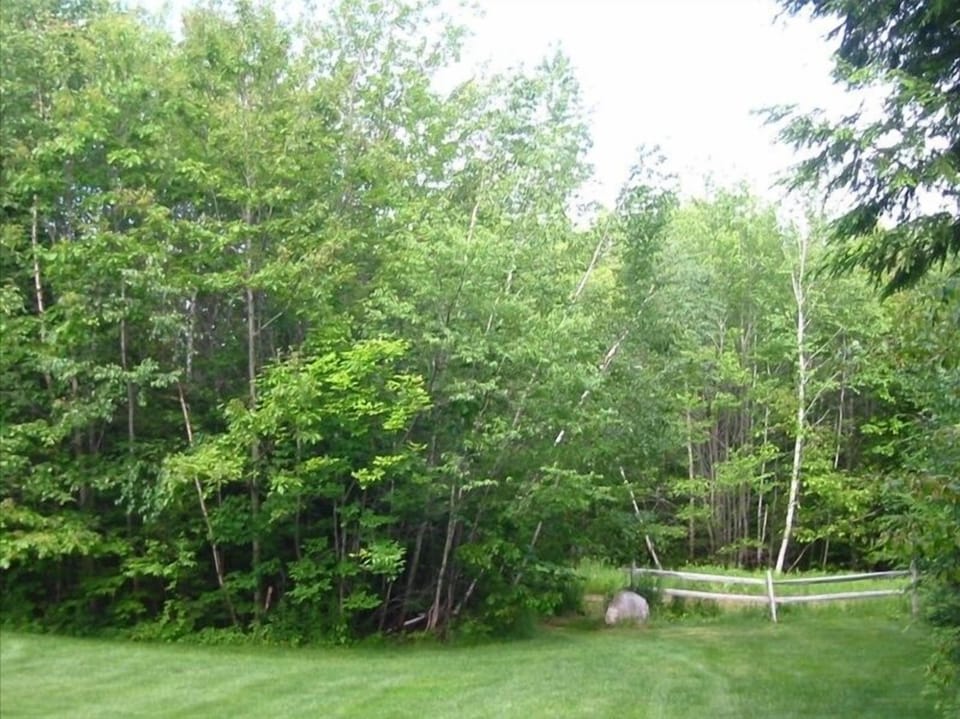 entrance to hiking trails