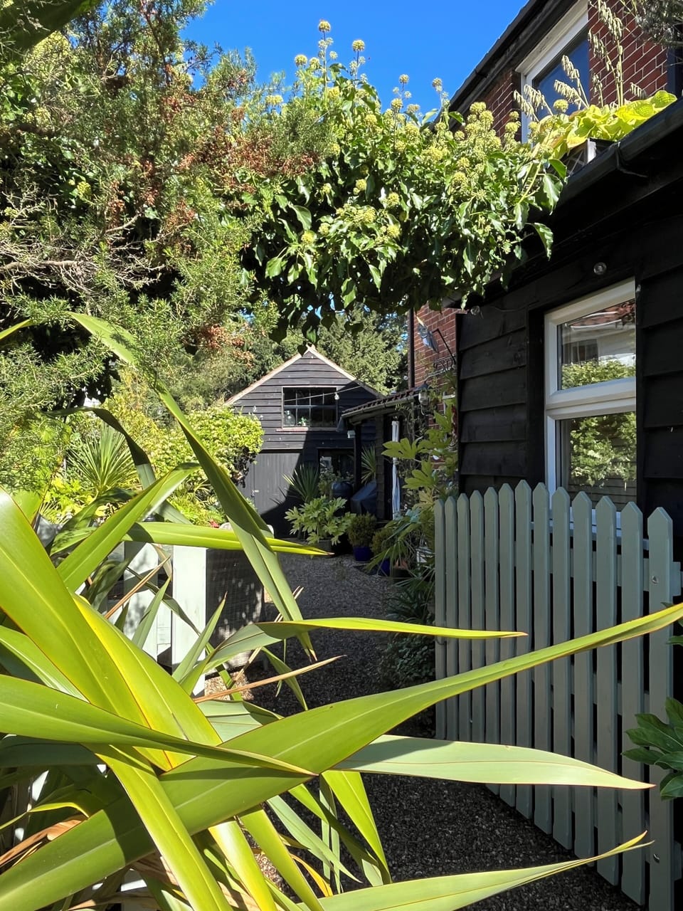 Evergreen secure courtyard