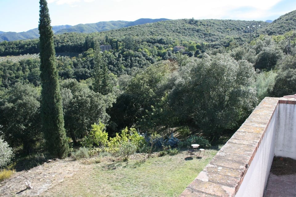 Room 4 terrace