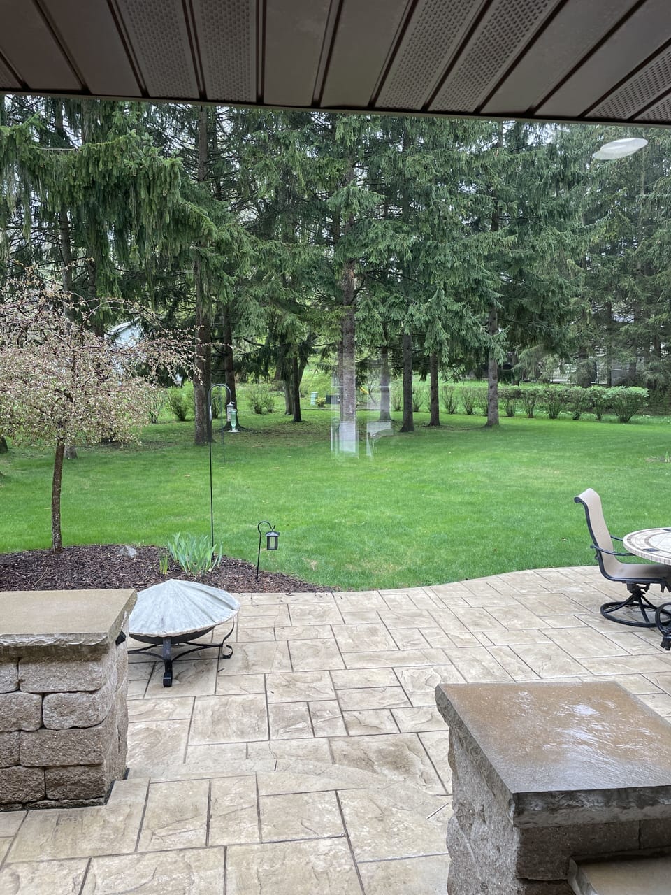 Our quiet peaceful backyard! You can grill out or use our fire pit!