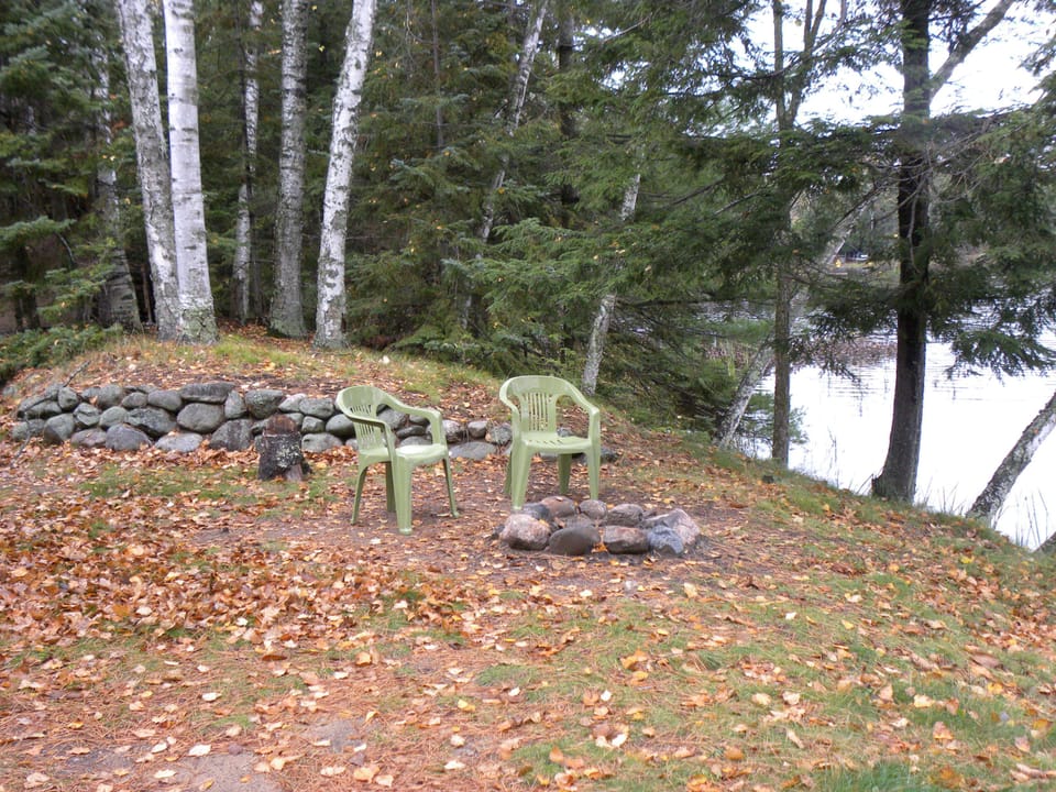 Firepit area with firewood included!