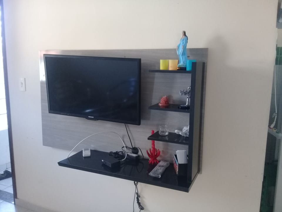Television