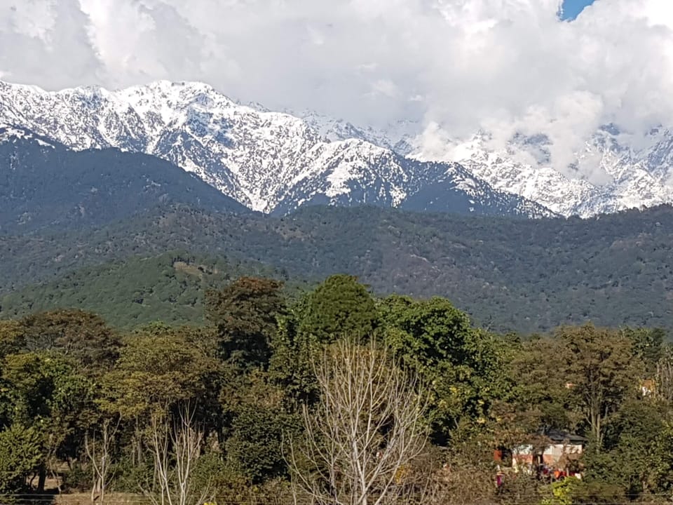 Dhouladhar view from Dhouladhar Suite at 
Ekaant Homes 