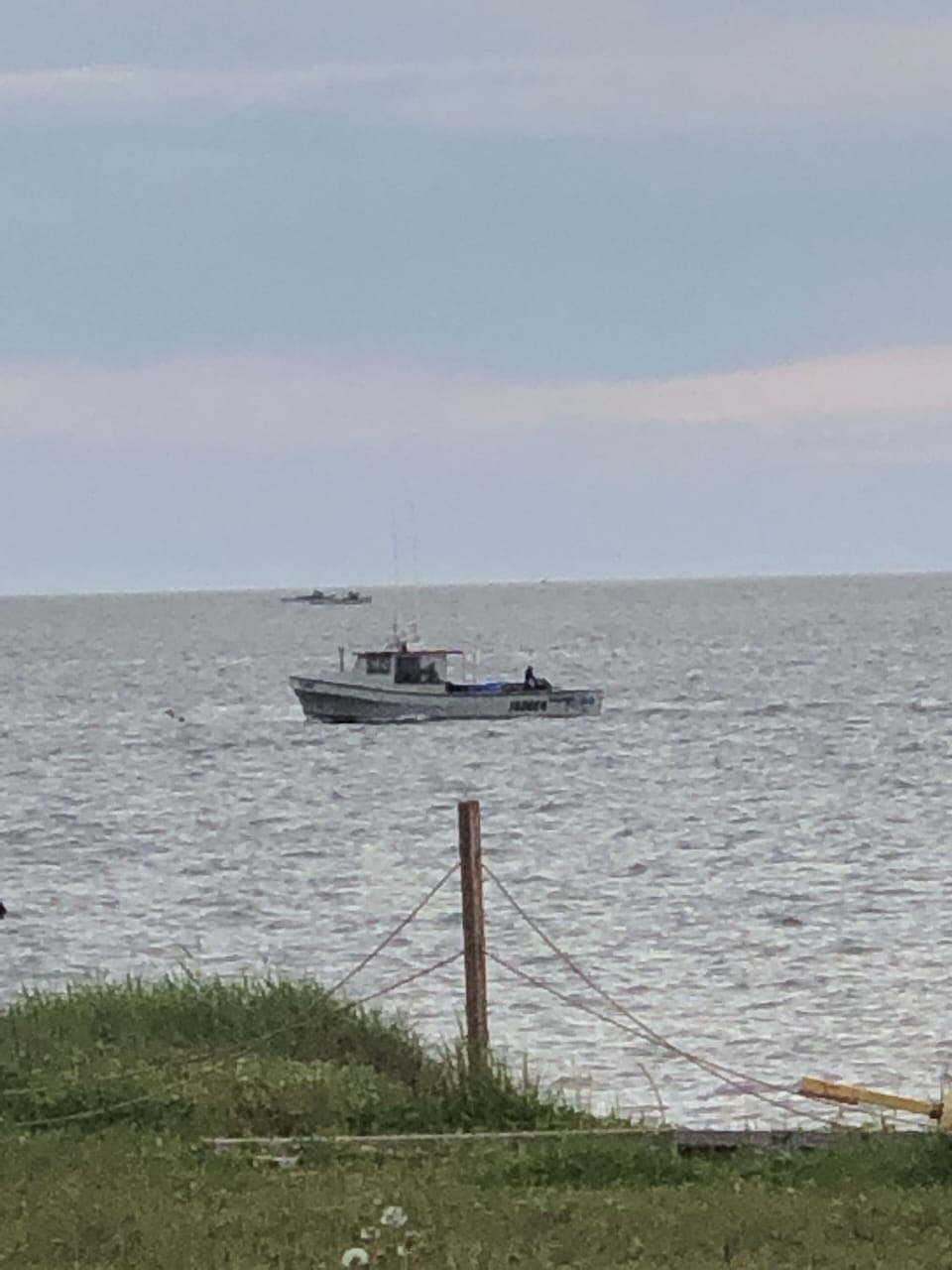 Watch the fishing boats off the Cape