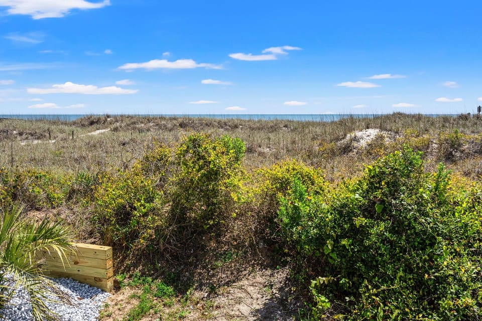 Bench among the sea grass with the ocean beyond at Surf Villas I A1, a 3-bedroom Ocean Drive rental