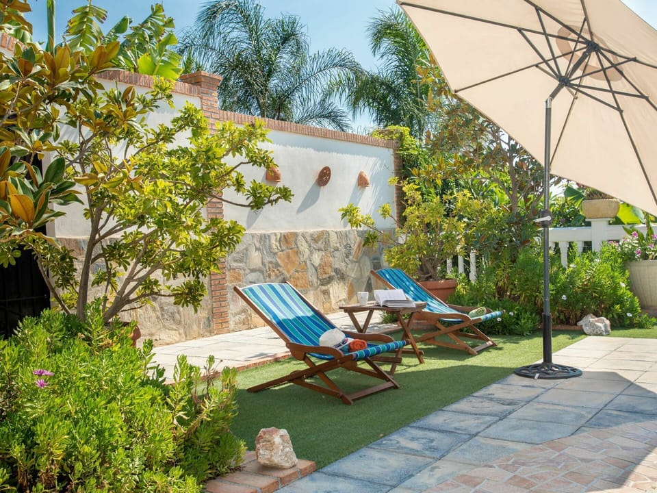 Plant, Property, Furniture, Plant Community, Building, Sky, Nature, Azure, Shade, Outdoor Furniture