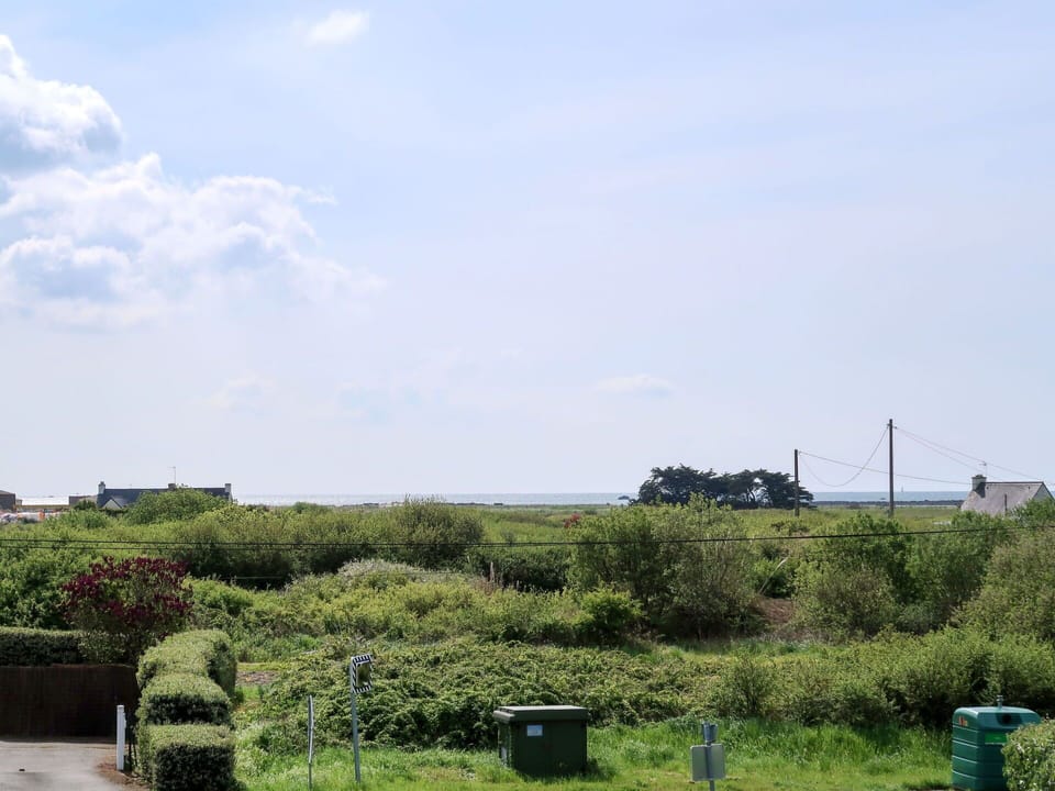 Sky, Green, Vegetation, Cloud, Grass, Land Lot, Tree, Daytime, Wilderness, Grass Family
