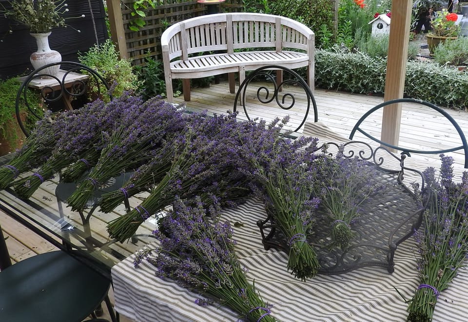 We grow and dry lavender which we make into sachets for sale to garden visitors.