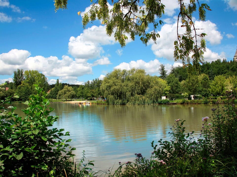 Cloud, Water, Plant, Sky, Water Resources, Plant Community, Natural Landscape, Natural Environment, Tree, Lake