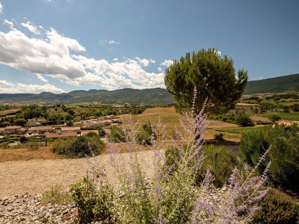 Sky, Plant, Cloud, Natural Environment, Mountain, Natural Landscape, Tree, Land Lot, Grass, Landscape