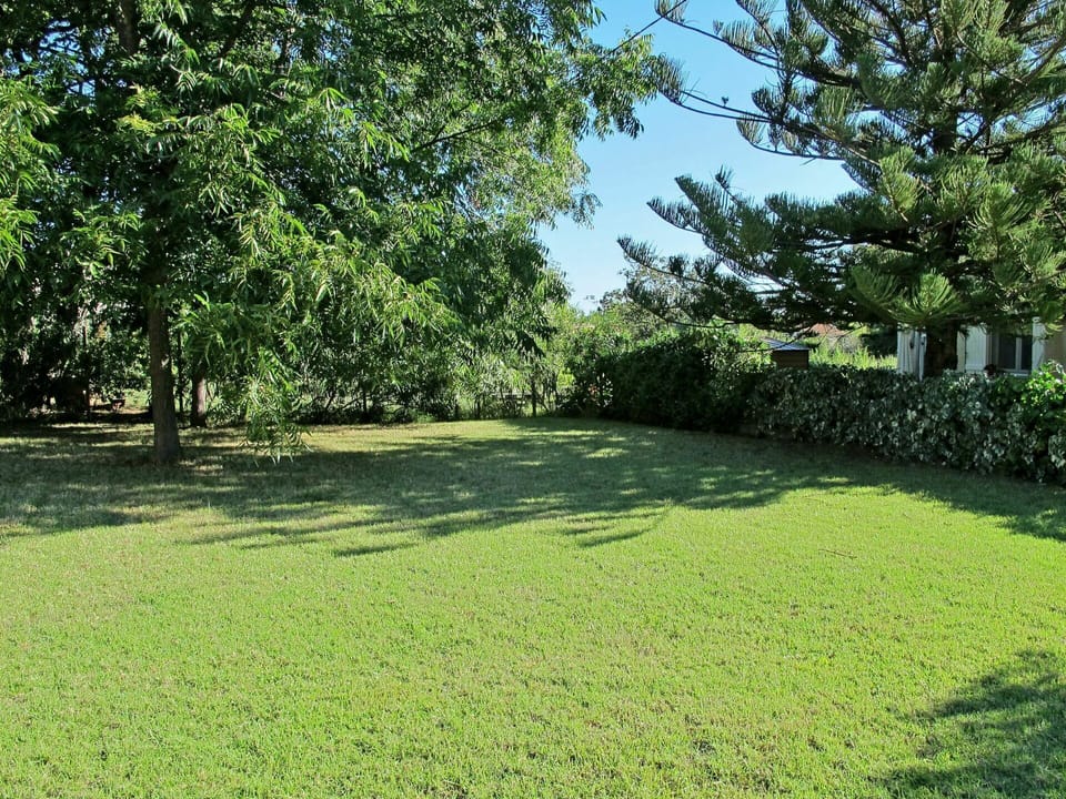 Grass, Natural Landscape, Lawn, Green, Property, Tree, Vegetation, Natural Environment, Land Lot, Garden