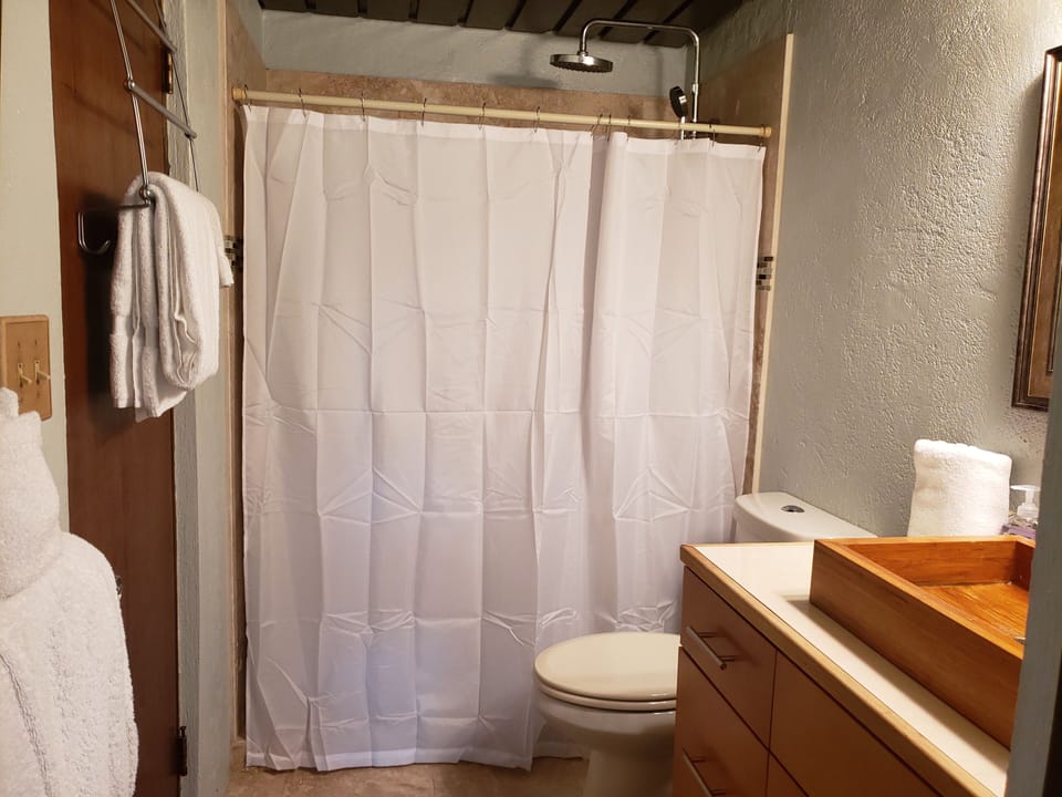 Bathroom with large walk in shower.