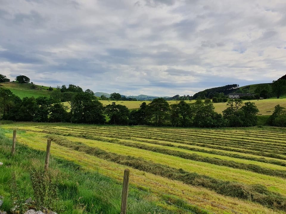 Hartington Dale - some stunning views on offer