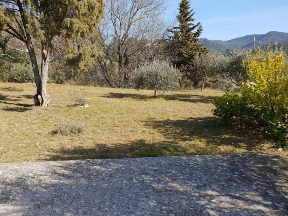 3105369f ad79 443e bdb1 9c8299a75815