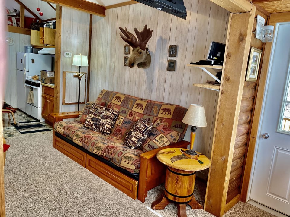 Queen futon in living room