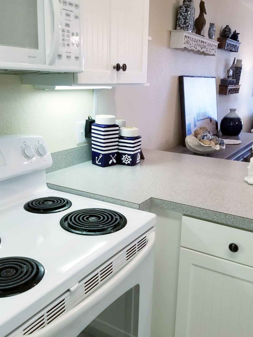 Electric Range
