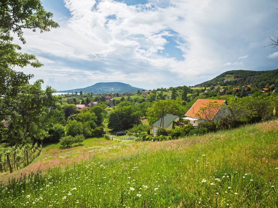 Green, Mountainous Landforms, Nature, Grass, Leaf, Hill, Vegetation, Natural Landscape, Grassland, Landscape
