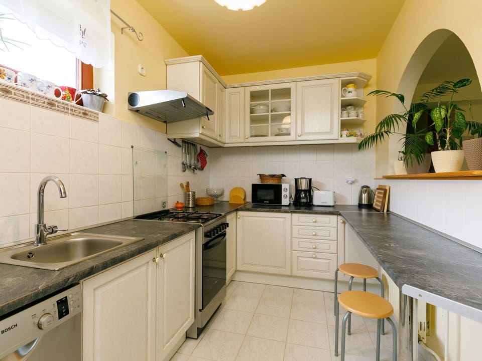 Cabinetry, Kitchen Sink, Countertop, Property, Sink, Furniture, Kitchen Appliance, Kitchen, Kitchen Stove, Plant