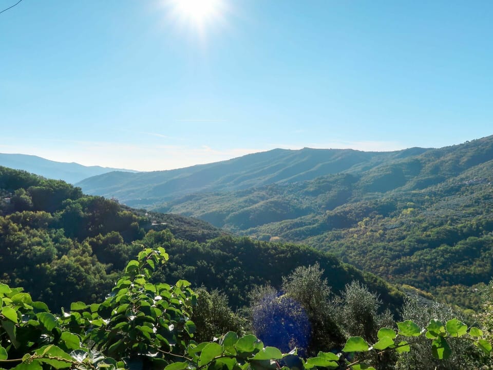 Sky, Plant, Mountain, Plant Community, Natural Landscape, Tree, Highland, Sunlight, Landscape, Mountainous Landforms